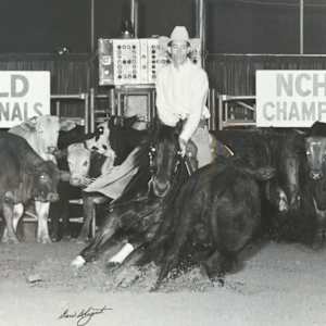 Hyglo Freckles  Image: Hyglo Freckles shown by Faron Hightower at the NCHA National Championships.