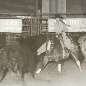 Ninnehahnick  Image: Ninnehahnick, showing at the NCHA National Championships.