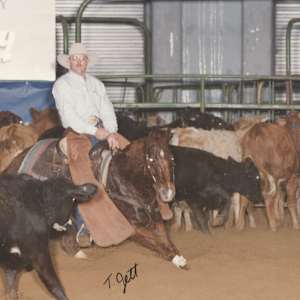 Okay Peppy, Image 4.