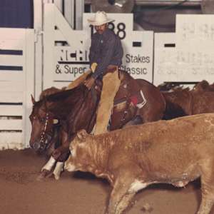 Ole Shady Oak, Image 2.