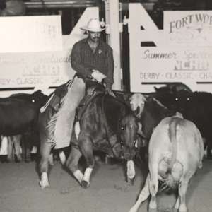 Ole Shady Oak, Image 3.