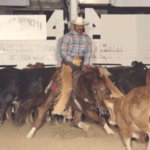 Ole Shady Oak, Image 5.