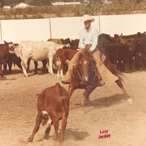 Organ Grinder, Image 4.