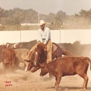 Organ Grinder, Image 6.