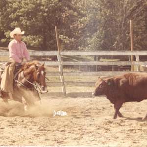 Organ Grinder, Image 5.