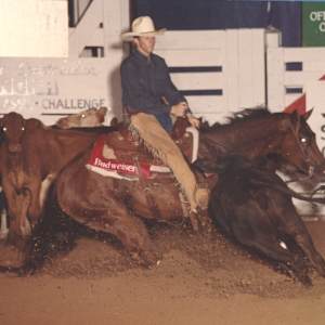 Pams Little Lena, Image 2.