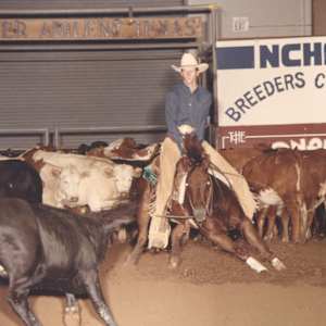 Pams Little Lena, Image 6.