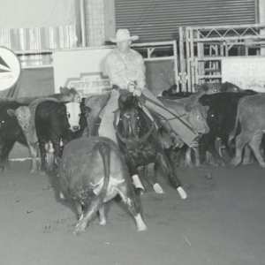 Pams Moon Bar, Image 6.