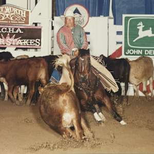 Pams Moon Bar, Image 5.