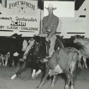 Pams Moon Bar, Image 10.