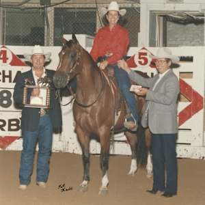 Pams Moon Bar, Image 11.