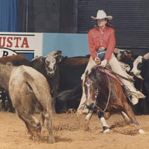 Pams Moon Bar, Image 8.