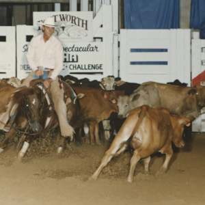 Panolas Little Lena, Image 3.