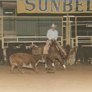 Par Protegee  Image: Par Protegee shown by Dean Smith in 1984 Sunbelt, Open Co-Champions