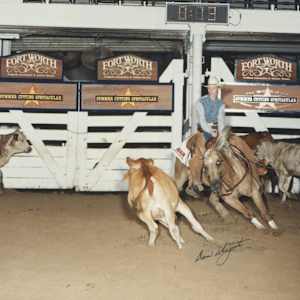 Parkmans Diamond, Image 2.