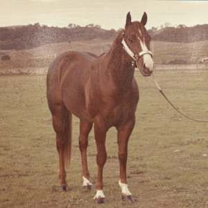 Partee Doc  Image: Partee Doc