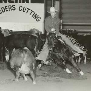 Pastel Playgirl, Image 2.