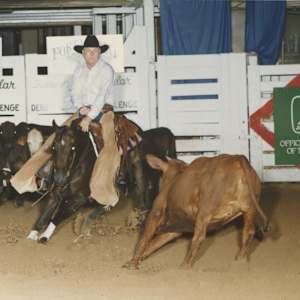 Pegis Pretty Peppy, Image 2.