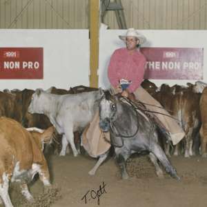 Pepceptional, Image 2.