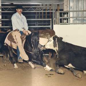 Pepo Clegg, Image 2.