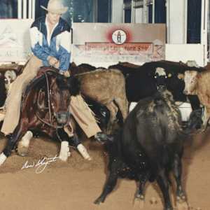 Peponitas Acre, Image 4.