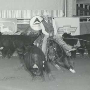 Peponitas Brat, Image 2.