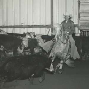 Peppi Dox  Image: Peppi Dox shown by Dennis Manning, Open Finalist