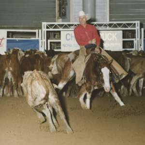 Peppy Lena, Image 2.