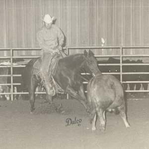 Peppy Little Joe, Image 2.