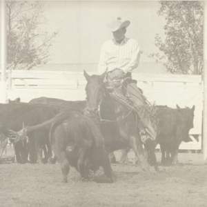 Peppy Little Joe, Image 4.