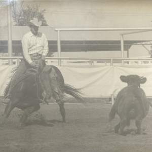 Peppy Little Joe, Image 3.