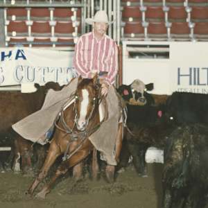 Peppy Once Again, Image 2.