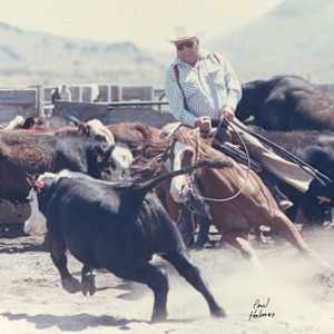 Peppy Peyote, Image 3.