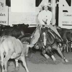 Lee Royal  Image: Lee Royal showing in the NCHA Summer Spectacular. 
