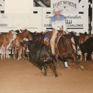 Lena Dry Doc  Image: Lena Dry Doc showing at the NCHA Summer Spectacular. 
