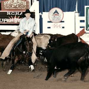 Tim Barry  Image: Tim Barry showing at the NCHA Super Stakes.