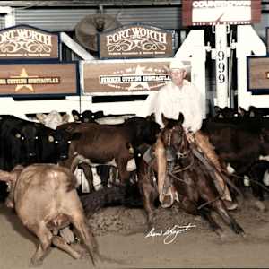 H.B. Bartlett  Image: H.B. Bartlett showing at the 1999 NCHA Summer Spectacular. 