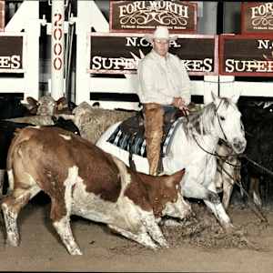 H.B. Bartlett  Image: H.B. Bartlett showing at 2000 NCHA Super Stakes.