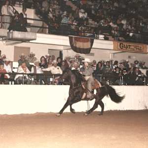 Lynn Anderson, Image 5.