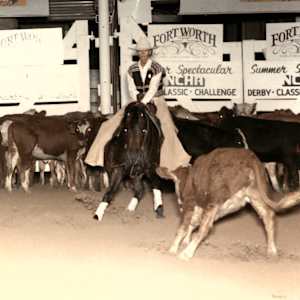 Badger San Doc  Image: Badger San Doc showing at the NCHA Summer Spectacular.