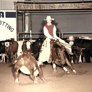 Clarks Little Fanny  Image: Clarks Little Fanny showing at the NCHA Breeders Cutting.