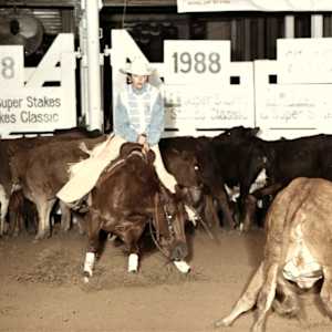 Clarks Little Fanny  Image: Clarks Little Fanny showing at the 1988 NCHA Super Stakes