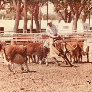 Freckles Loverboy, Image 3.
