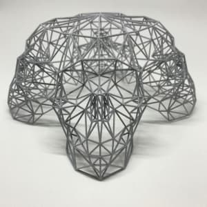 QUAD SKULL ACGE - 3D PRINT by Angie Jones
