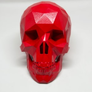 After Life Skull - Scarlett Red by Angie Jones