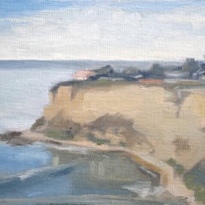 Pink Roof Lunada Bay by Curtis Green 
