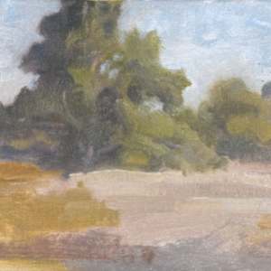 Afternoon Meadows at Madrona Marsh by Curtis Green