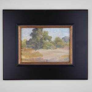 Afternoon Meadows at Madrona Marsh by Curtis Green  Image: Framing suggestion. (Not included).