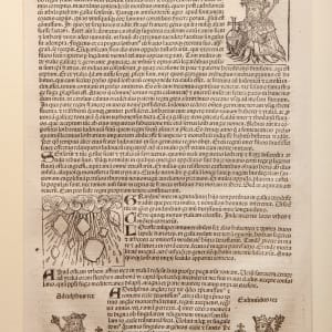Nuremberg Chronicle (CLXX) by Hartmann Schedel