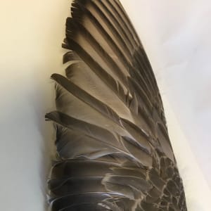 Prayer Fan 